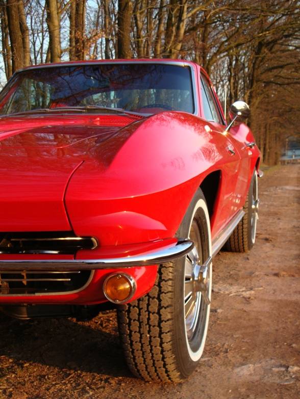 MARTINSRANCH 64 Corvette Sting Ray Coupe red-red (12) 